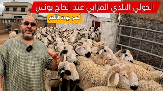 الحولي البلدي من ضيعة الحاج يونس المزابي مع جودة عالية فاللحم/هاذ الكسيبة عندو هواية