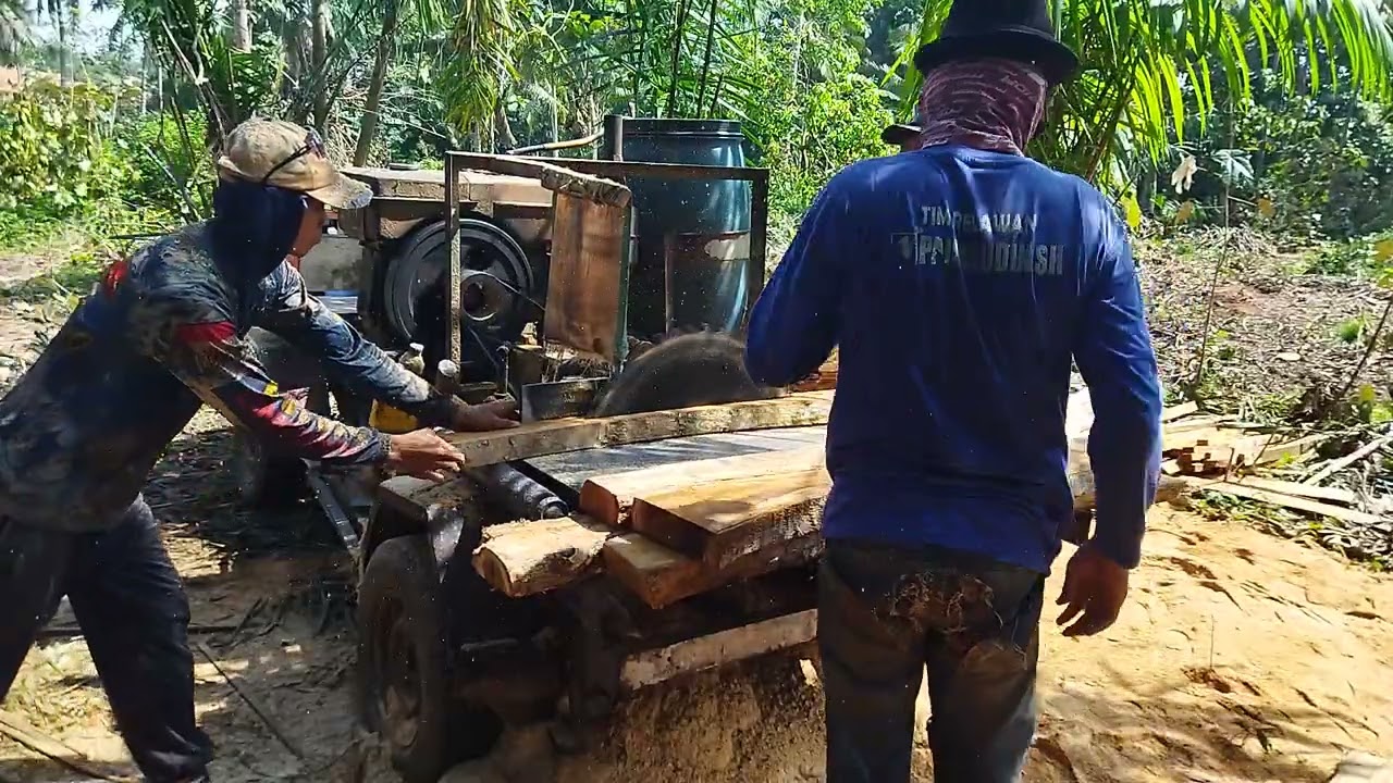 Vidio fuulll serkel kayu racuk campur