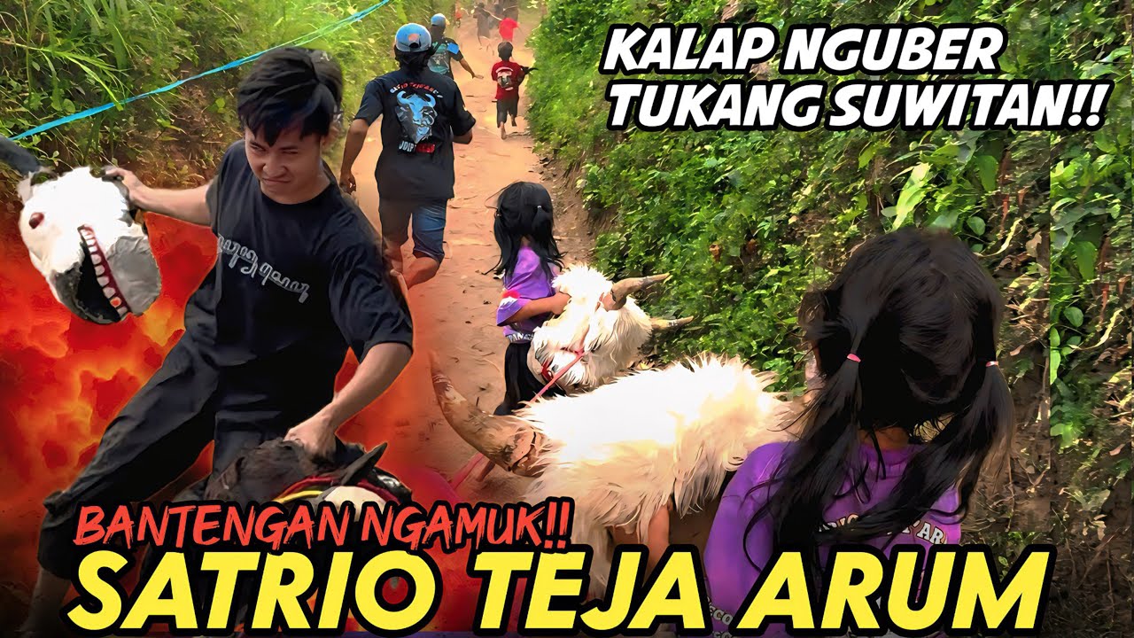 HOROR!! BANTENGAN SATRIO TEJA ARUM KESURUPAN DEMIT ALAS MBURING!!