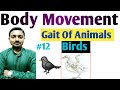 Class-6 Science | Chapter-8 | Gait Of Animals | Birds | NCERT | CBSE | #12