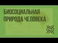 Биосоциальная природа человека. Науки об организме человека. Видеоурок по биологии 8 класс