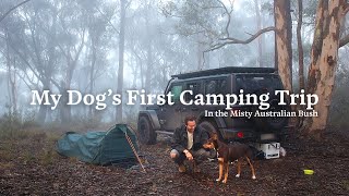 My Dog's First Camping Trip in the Misty Australian Bush