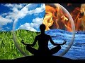 Истинная и фальшивая медитации. Что такое медитация? Зачем и кому нужны люди в отключке?