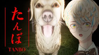 緋八マナ(ひばちまな)の配信のサムネイル画像