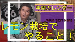 【レモンの年間スケジュール】レモンの木を栽培するのに月ごとにやるべき事をまとめてみました。