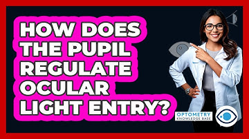 How Does The Pupil Regulate Ocular Light Entry?