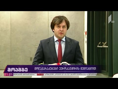 კრისტიან დანიელსონის შეხვედრა „ქართული ოცნების“ ლიდერებთან