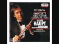 G. Ph. Telemann - Concerto in D major for 2 Flutes, Colascione, Strings &amp; B.c.