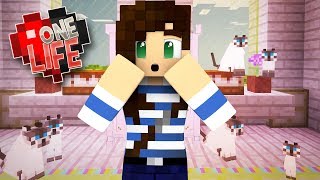 HELP! I Can't Stop Breeding Cats In Minecraft   One Life SMP (Ep.12)