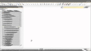SAP Business One v9.1: Permission Groups