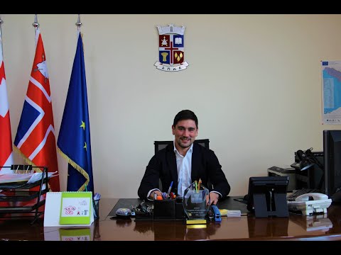 გორის მერი მრჩეველს ხელშეკრულებით აიყვანს