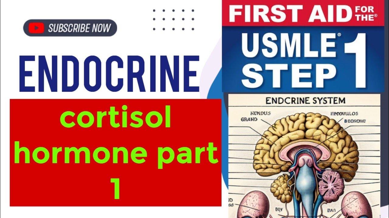 cortisol hormone part1 endocrinology 22 First Aid USMLE Step 1 in