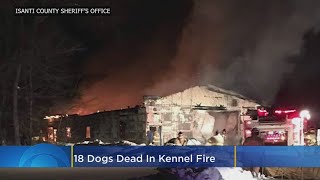 18 Dogs Killed In Boarding Kennel Fire