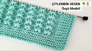 Çitlembik Desen ☘🌾🌷 Örgü Modeli / How to Knitting Tutorial Stitch DIY Design Free Pattern