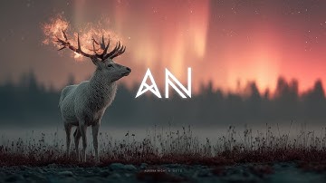 Aurora Night - A Year Long Story ( Part VI )