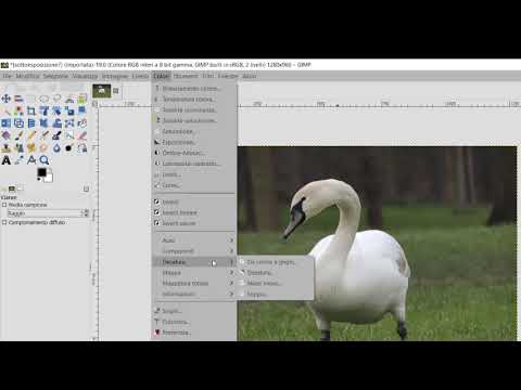 correzione esposizione con Gimp