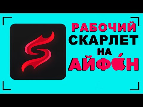 Как скачать скарлет на айфон | Как скачать новый тик ток на айфон