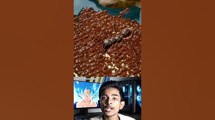 How Ant Colonies Evacuate During Floods #fort_desprit