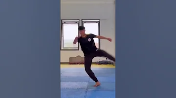 Wawan Saputra Taekwondo N Lion S 