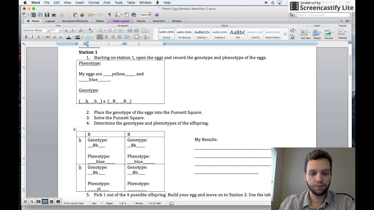 Proficiency 2 Plastic Egg YouTube