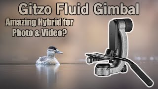 Gitzo Fluid Gimbal Head screenshot 2