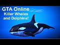 Where to find Killer Whales and Dolphin&#39;s on GTA Online!!! | GTA 5 Online