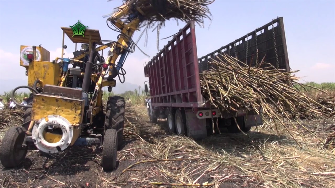 AgroScience | Nutrición para Caña con Oscar Cabrera