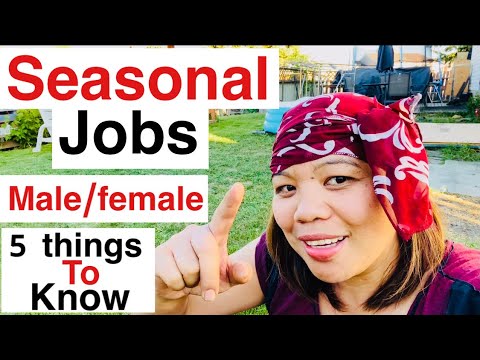SEASONAL JOBS IN CANADA |MALE AND FEMALE JOBS | NO COLLEGE DEGREE