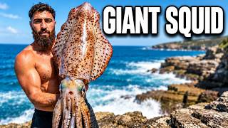 SYDNEY Rock Fishing For GIANT squid