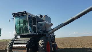 BigIron Auctions- John Pettera- October 16th 2019