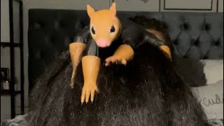 ~ASMR~ Squirrel 🐿 Scraches Your Hair