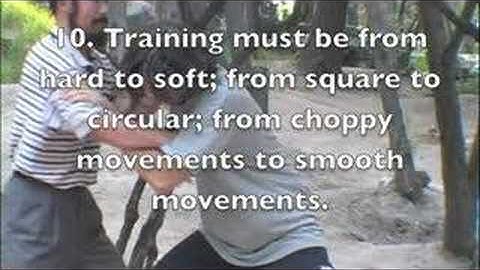 Chen Style Taijiquan Practical Method Introductions