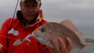 Learning to slow pitch jig for Snapper, Newcastle NSW