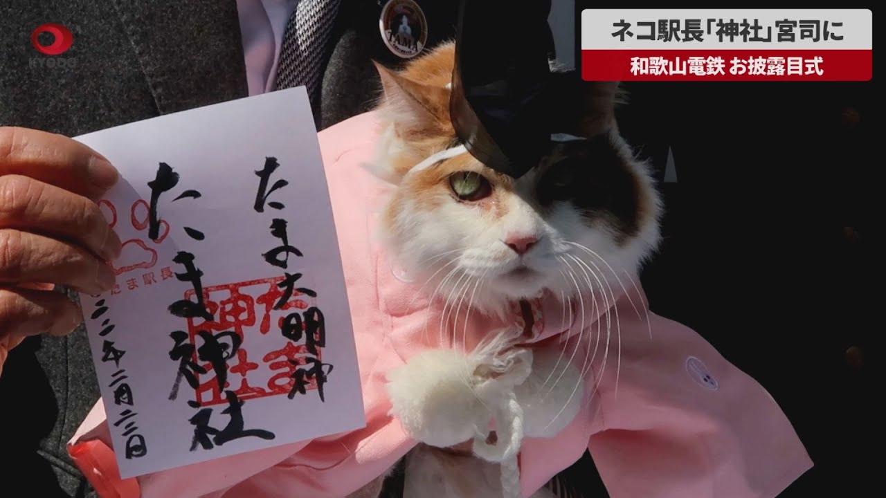 速報】ネコ駅長「神社」宮司に 和歌山電鉄、お披露目式 - YouTube