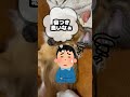 犬が食べると寿命が倍増する食材4選