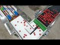 Automatic tomatoes weighing grading and packaging line  fruit and vegetable processing equipment