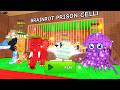 BRAINROT PRISON RUN Obby New Update - Roblox All Morphs Unlocked FULL GAME Walkthrough #roblox