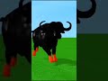 paint &amp; animals cow cartoon,bull,buffalo,yak,ox, indian bison fountain crossing animal transform
