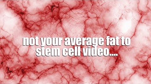 not your average fat to stem cell video... (morphic field)