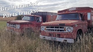 Hunting for Holley Carburetors and Sweptline parts! North Dakota junkyard! by Lambvinskis Garage 1,874 views 1 year ago 9 minutes, 13 seconds