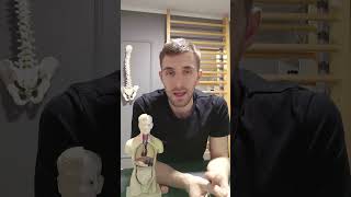 Visok tlak, visok krvni pritisak !!! Koji je uzrok ?