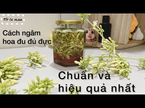 Video: Bí quyết làm mật ong từ cánh hoa hồng: Cách làm mật ong từ cánh hoa hồng