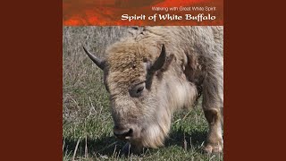 Spirit of White Buffalo Spirit of White Buffalo