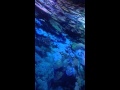 Great Barrier Reef - Leipzig 360 panorama