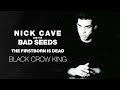 Nick cave  the bad seeds  black crow king official audio