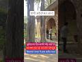 dhak #shaheed #mazar #shareef #dargah #trending #viralvideo