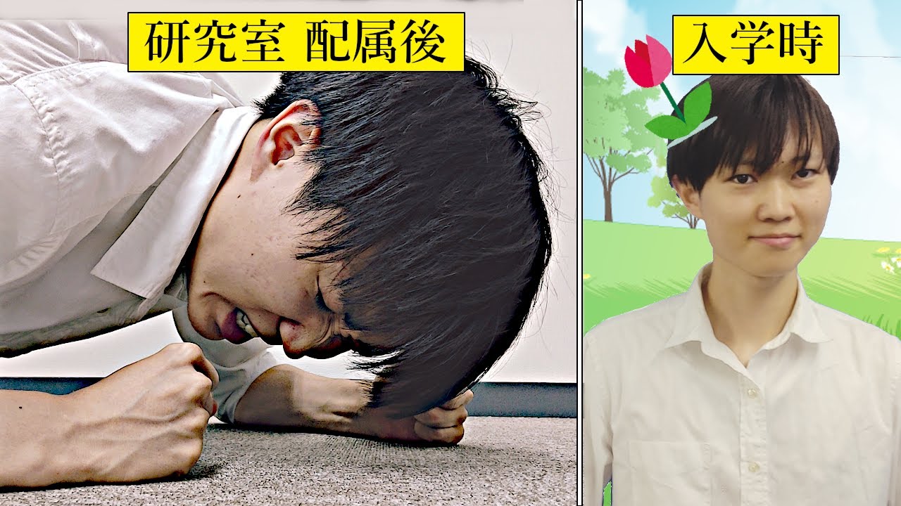 【理系大学】底辺研究室に配属されて分かったこと6選