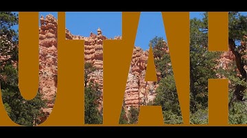 How to Cut Out Shapes and Text in PaintShop Pro