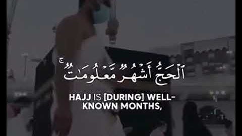 الحج اشهر معلومات🎧🤍_ ايات قصيرة من سور القرآن الكريم _ حالات واتس اب _ ستوري انستا _سورة البقرة 🕊