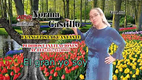 Norma Castillo - Mix vol  01